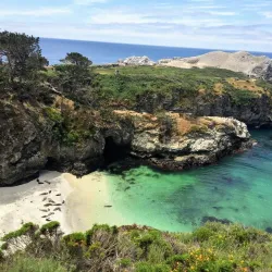 Point Lobos State Natural Reserve - Monterey