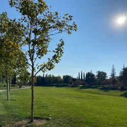 Mountain House Community Park - Mountain House