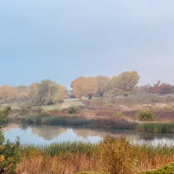 Mountain House Community Park - Mountain House
