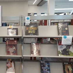 Mountain House Library - Mountain House