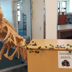 Mountain House Library - Mountain House