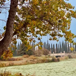 Mountain House Skate Park - Mountain House