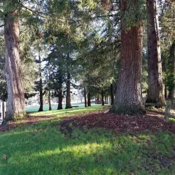 Cuesta Park - Mountain View