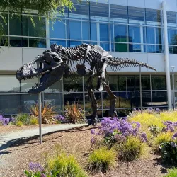 Googleplex - Mountain View