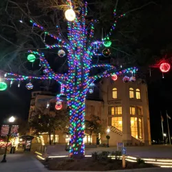 Mountain View Center for the Performing Arts - Mountain View