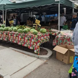 Mountain View Farmers' Market - Mountain View