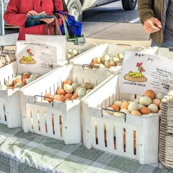 Mountain View Farmers' Market - Mountain View