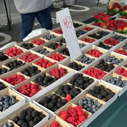 Mountain View Farmers' Market - Mountain View