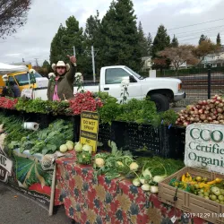 Mountain View Farmers' Market - Mountain View