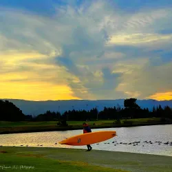 Shoreline Park - Mountain View