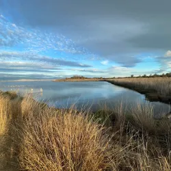 Shoreline Park - Mountain View