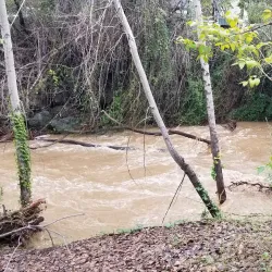 Stevens Creek Trail - Mountain View