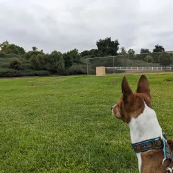 Copper Canyon Park - Murrieta
