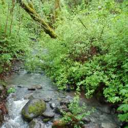 Bothe-Napa Valley State Park - Napa