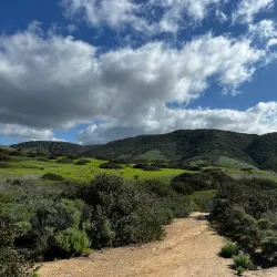 Crystal Cove State Park - Newport Beach
