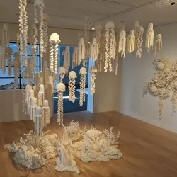 Orange County Museum of Art - Newport Beach