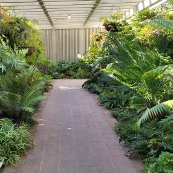 Sherman Library and Gardens - Newport Beach