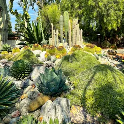 Sherman Library and Gardens - Newport Beach
