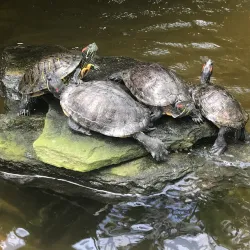 Sherman Library and Gardens - Newport Beach