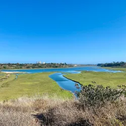 Upper Newport Bay Nature Preserve - Newport Beach