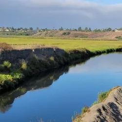 Upper Newport Bay Nature Preserve - Newport Beach