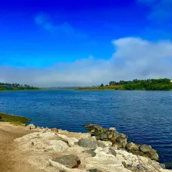Upper Newport Bay Nature Preserve - Newport Beach