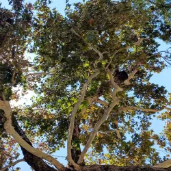 Norwalk Park - Norwalk