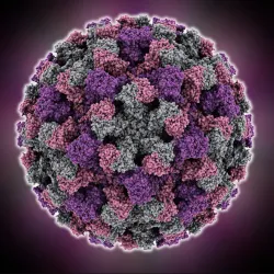 Norwalk Skate Park - Norwalk