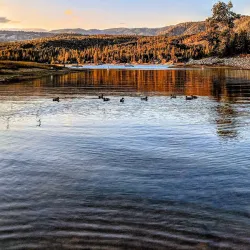 Bass Lake - Oakhurst