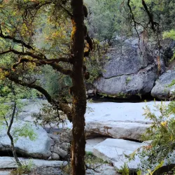 Bass Lake - Oakhurst