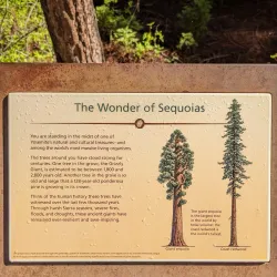 Mariposa Grove of Giant Sequoias - Oakhurst