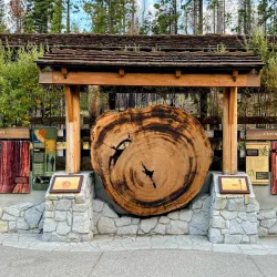 Mariposa Grove of Giant Sequoias - Oakhurst
