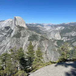 Mariposa Grove of Giant Sequoias - Oakhurst