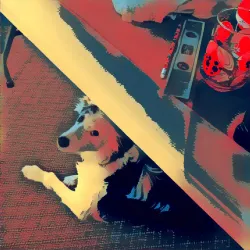 Mountain Art Gallery - Oakhurst