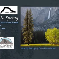 Mountain Art Gallery - Oakhurst