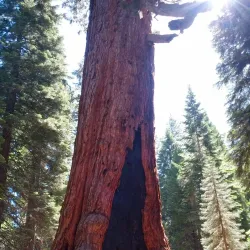 Oakhurst Community Park - Oakhurst