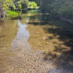 Oakhurst Community Park - Oakhurst