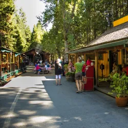 Yosemite Mountain Sugar Pine Railroad - Oakhurst