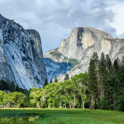 Yosemite National Park - South Entrance - Oakhurst