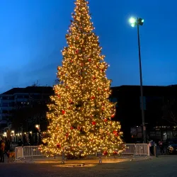 Jack London Square - Oakland