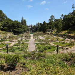 Morcom Rose Garden - Oakland