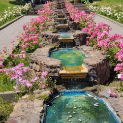 Morcom Rose Garden - Oakland