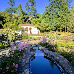 Morcom Rose Garden - Oakland