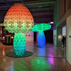 Oakland Museum of California - Oakland