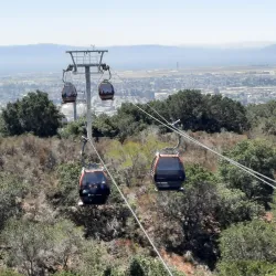 Oakland Zoo - Oakland