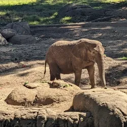 Oakland Zoo - Oakland