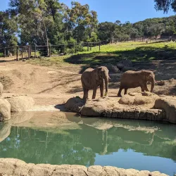 Oakland Zoo - Oakland