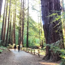 Redwood Regional Park - Oakland