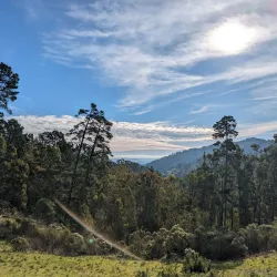 Redwood Regional Park - Oakland