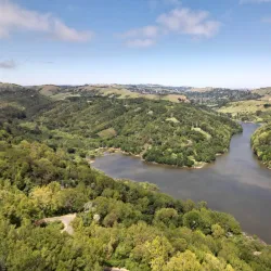 Redwood Regional Park - Oakland
